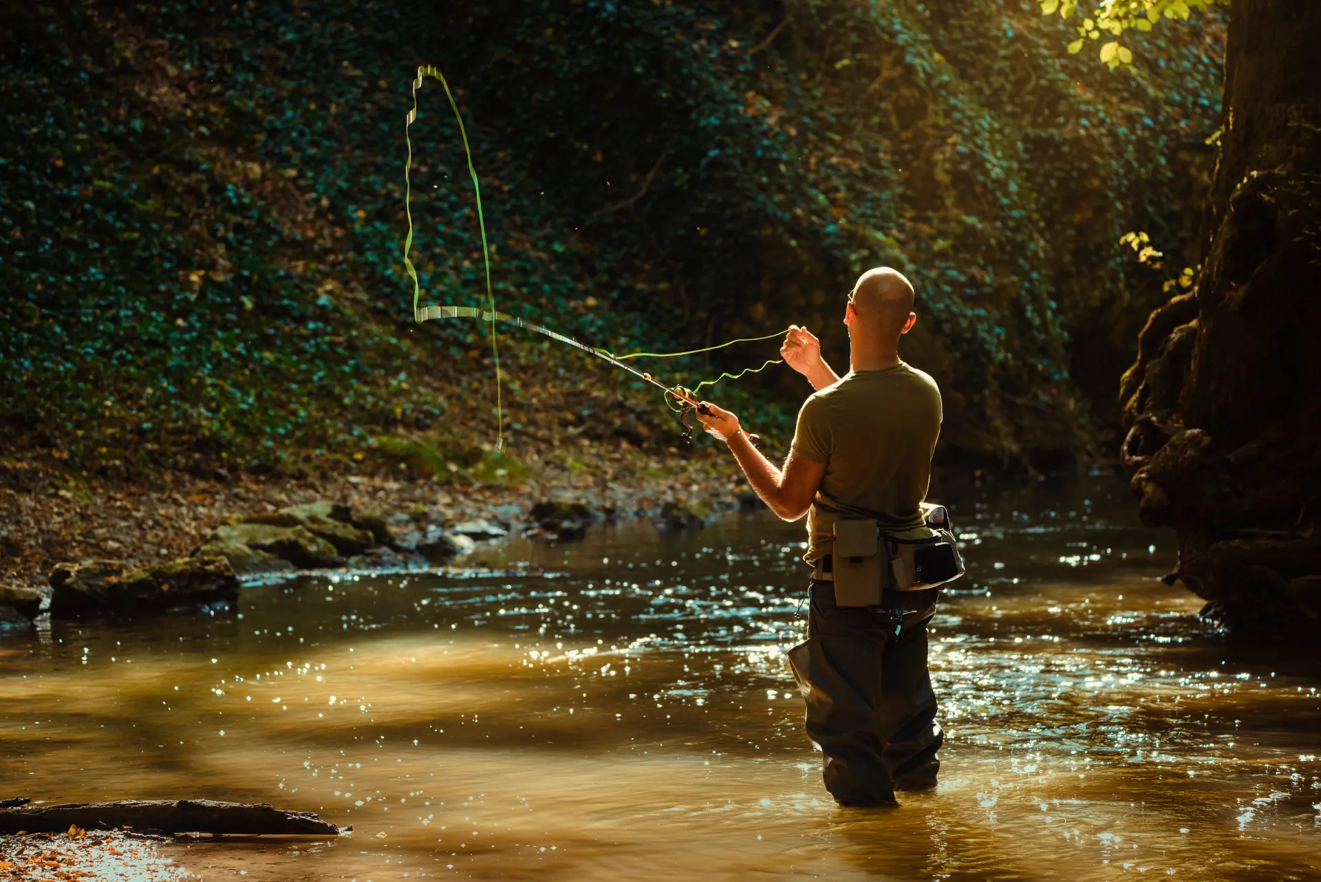 Fly angler casting in warm light on a wooded river