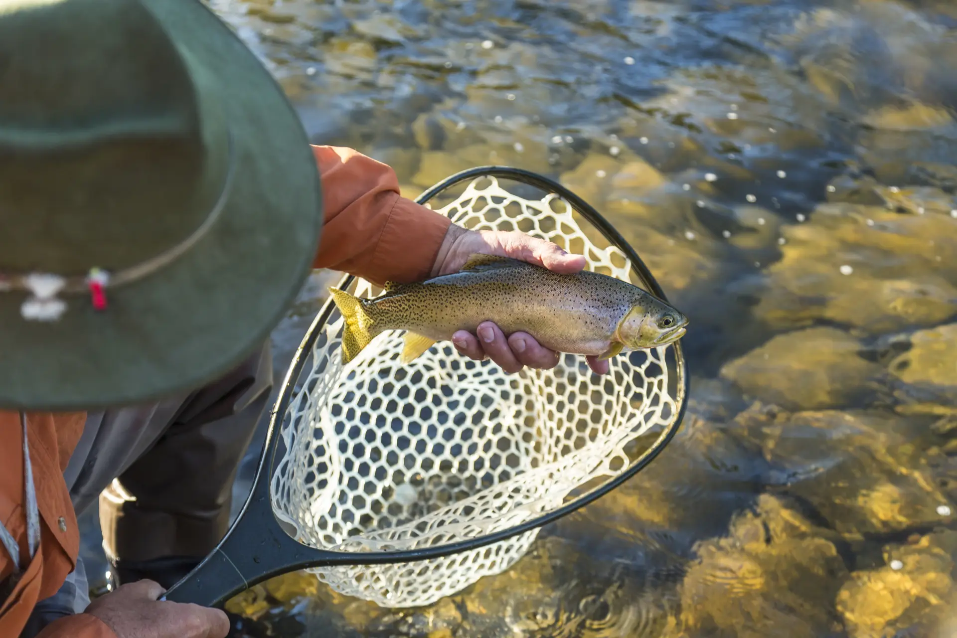 A family fishing experience on Scottish waters
