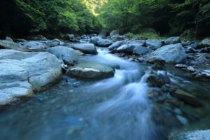 A brilliant day on the Tweed